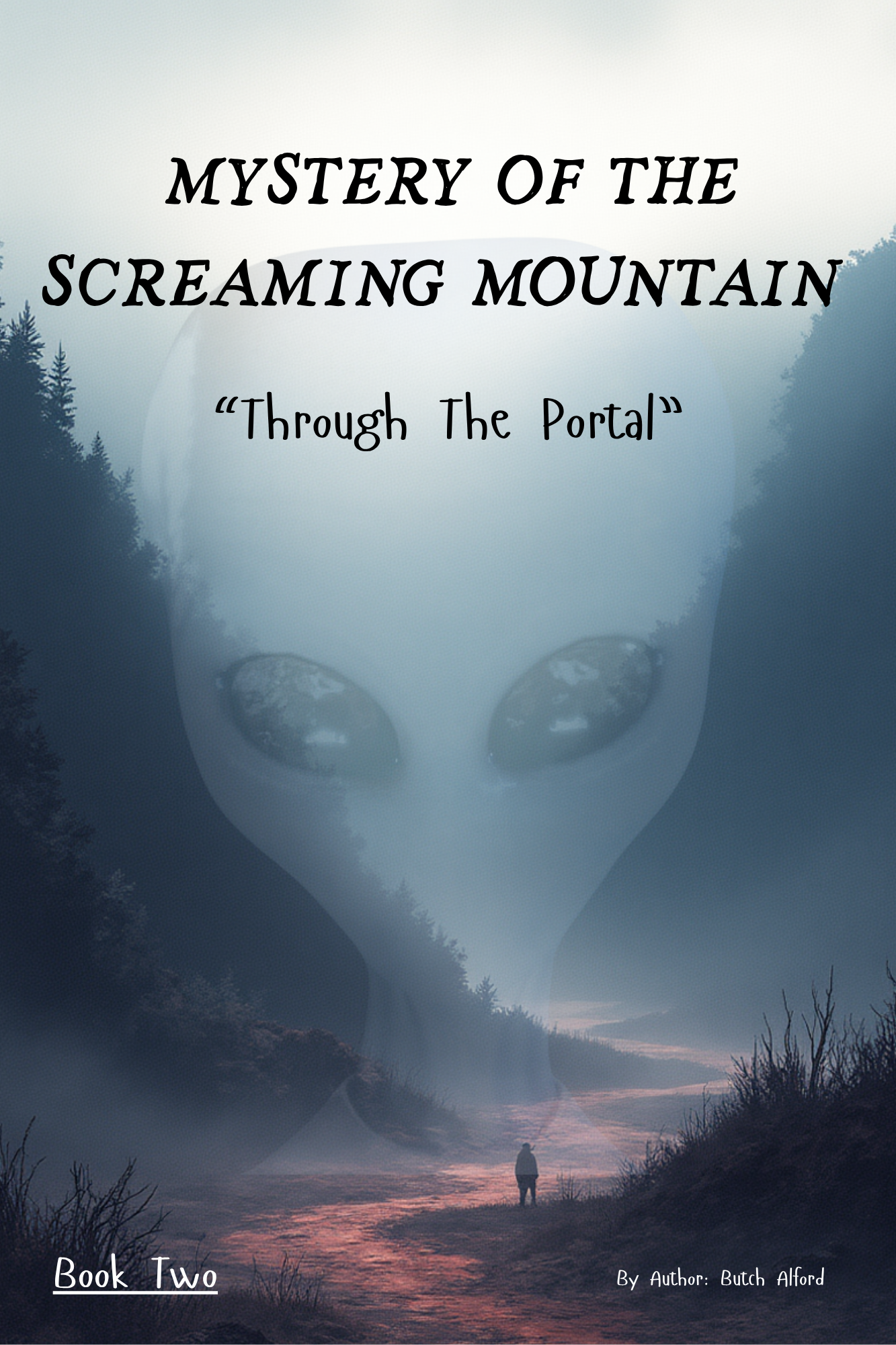 Book 2 cover