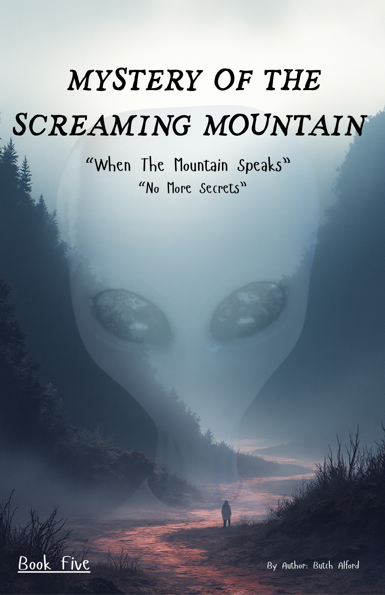 Book 5 cover